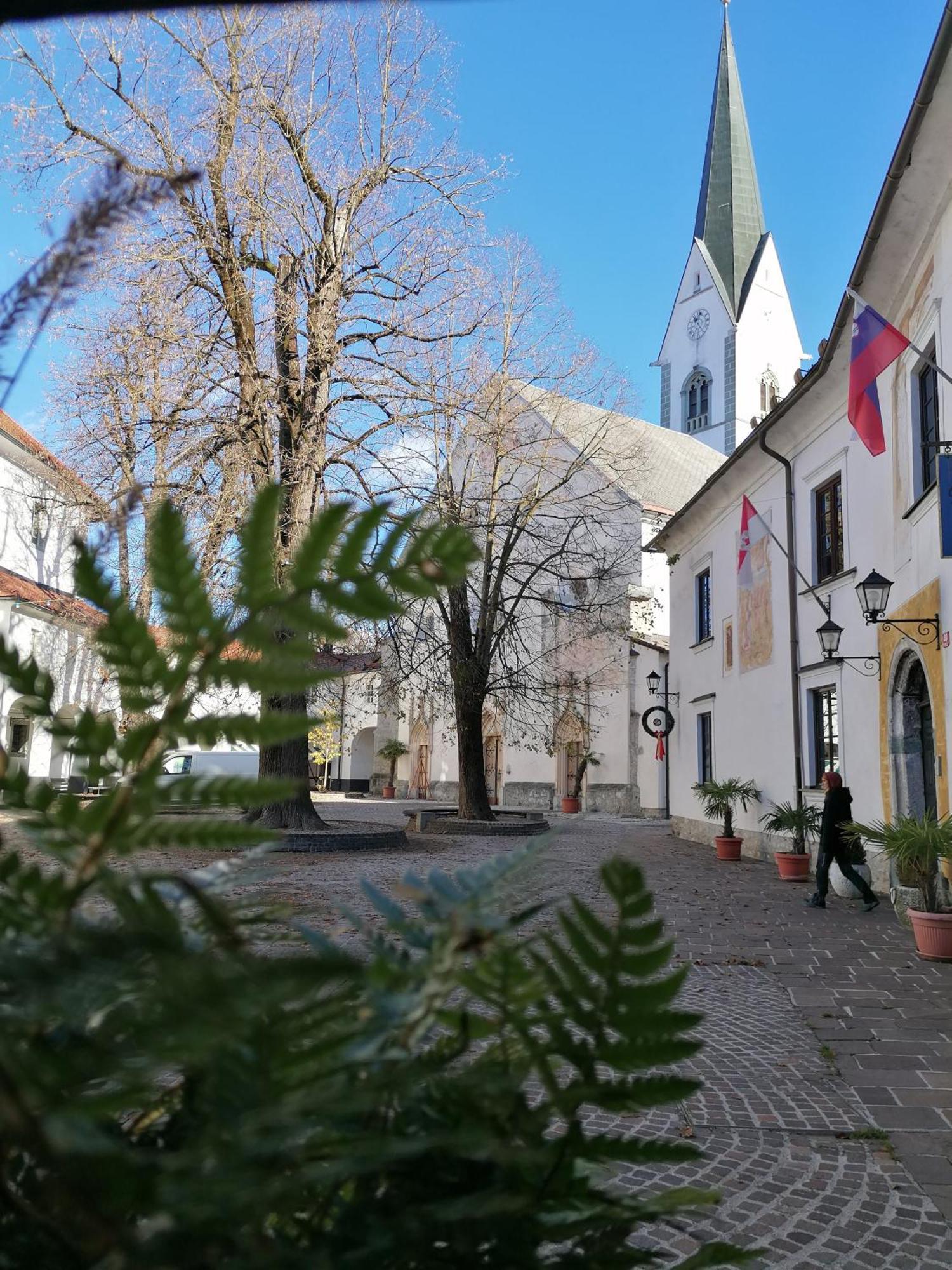 Vila Radol'ca Radovljica Exterior foto